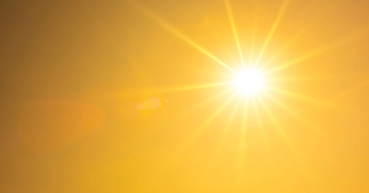 Sunshine State of Mind | Summer Designs
