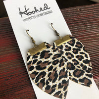 Little Leopard Magnolias - Medium