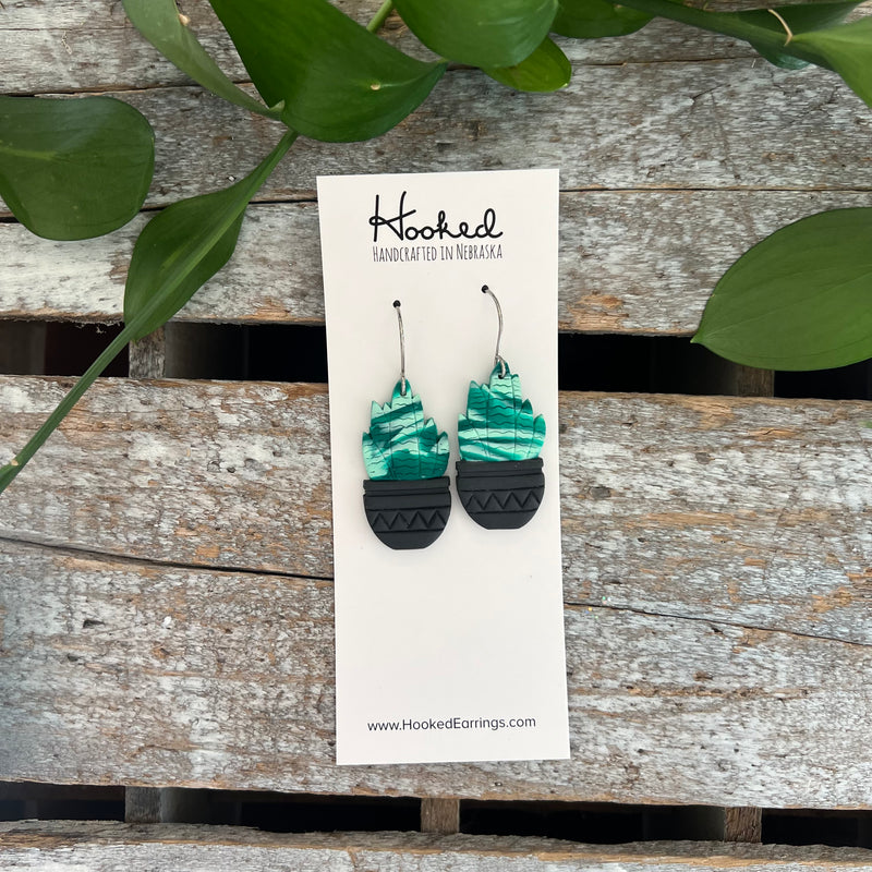 Potted Plants - Small/Medium